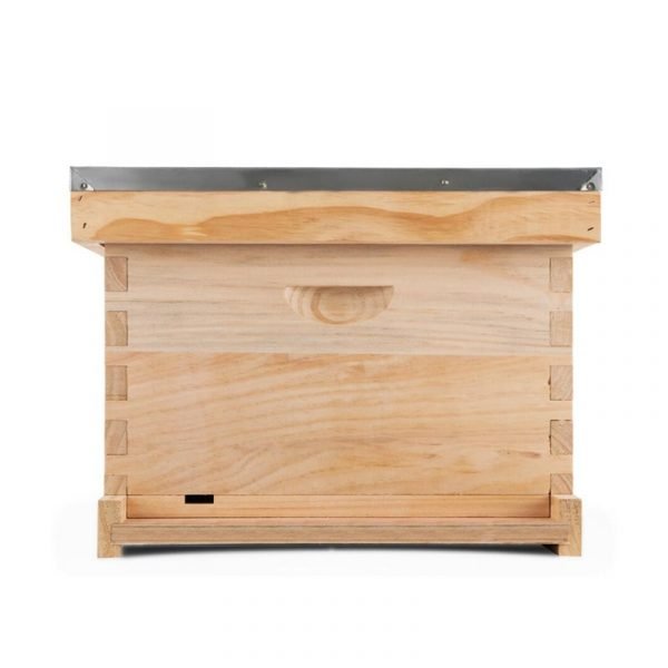 1-Layer-Langstroth-beehive-4