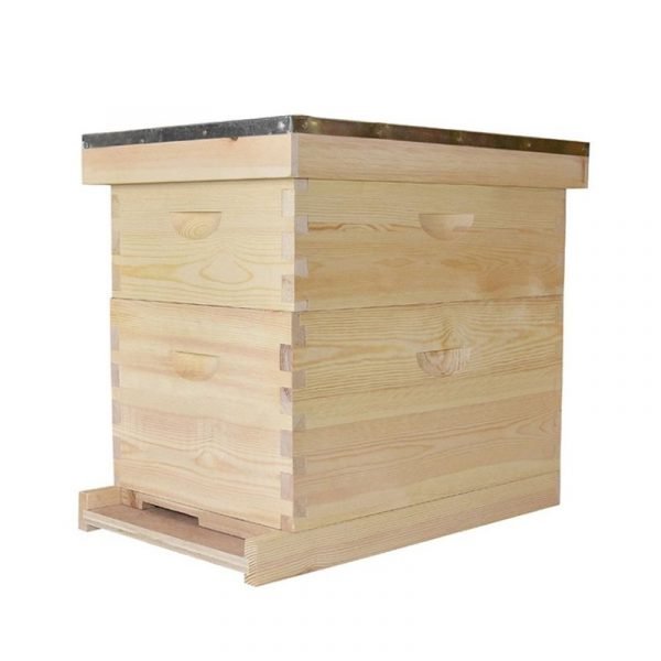 2-Layer-Langstroth-Beehive-1