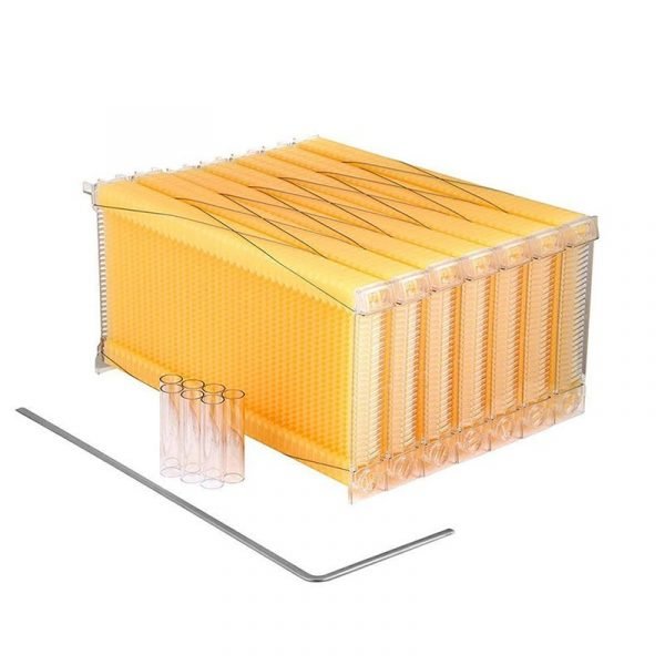 Auto-Flow-Beehive-Frame-6