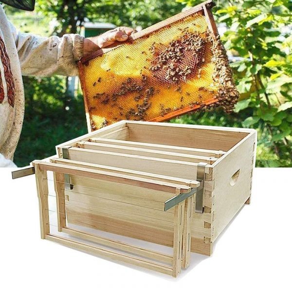 Beehive-Separable-Frame-Perch-8