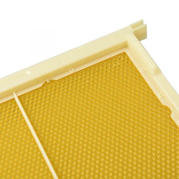 Full-Depth-Plastic-Beehive-Frame-6