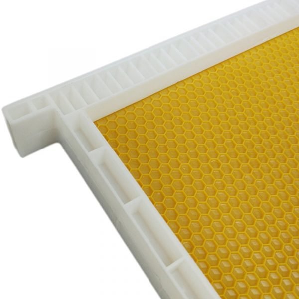 Full-Depth-Plastic-Beehive-Frame-7