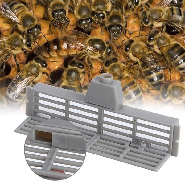 Plastic-Beekeeping-Bee-Anti-Escape-Gate-5