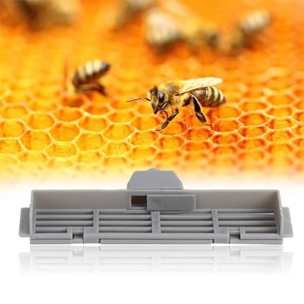 Plastic-Beekeeping-Bee-Anti-Escape-Gate-6