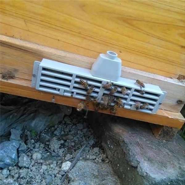 Plastic-Beekeeping-Bee-Anti-Escape-Gate-7