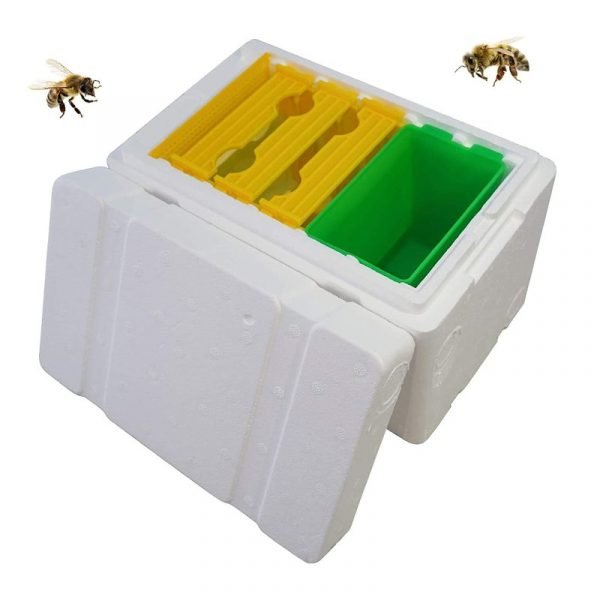 Upgrade-Polystyrene-Mating-Nucs-Hive-4