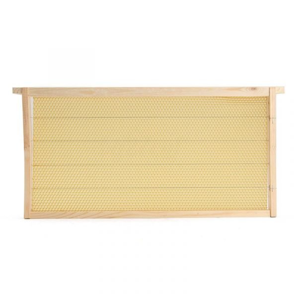 Wooden-Frames-with-Beeswax-Foundation-1