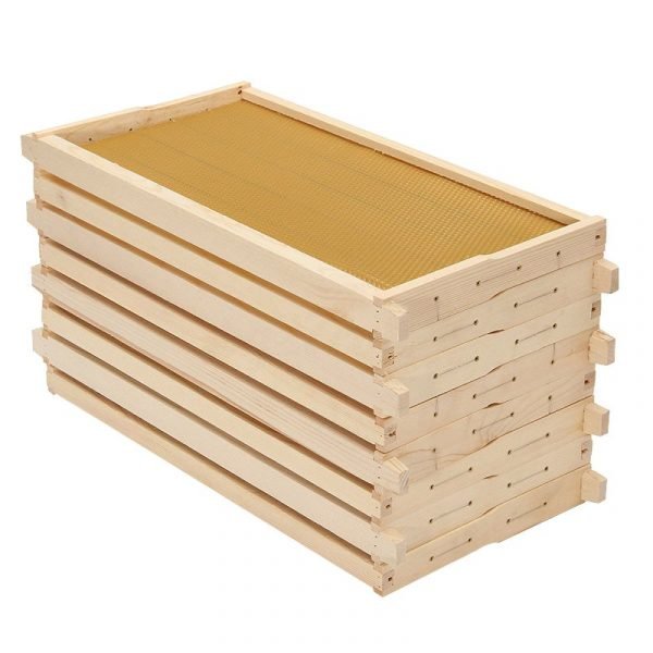 Wooden-Frames-with-Beeswax-Foundation-2