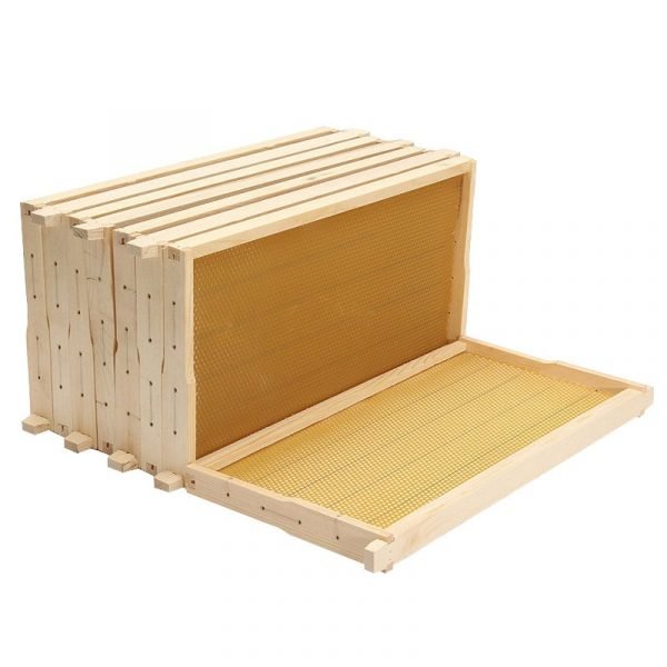 Wooden-Frames-with-Beeswax-Foundation-3