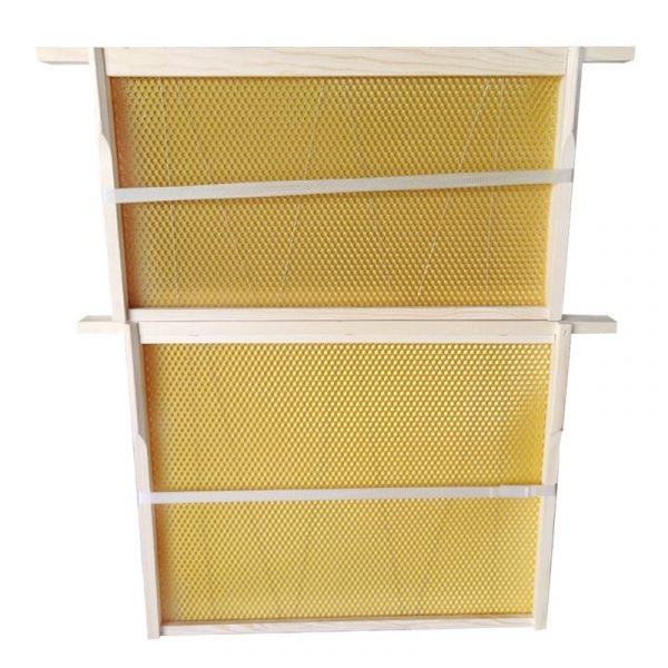 Wooden-Frames-with-Beeswax-Foundation-4