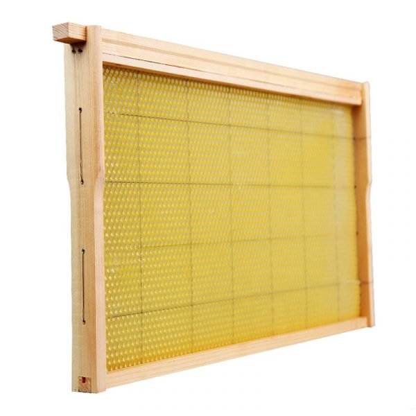 Wooden-Frames-with-Beeswax-Foundation-6