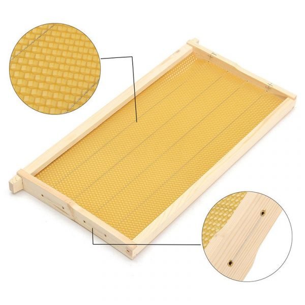 Wooden-Frames-with-Beeswax-Foundation-8